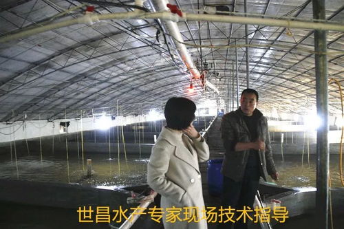 以先進典型引領(lǐng)高效漁業(yè)發(fā)展——世昌股份大力培育特種水產(chǎn)養(yǎng)殖示范戶的實踐與探索